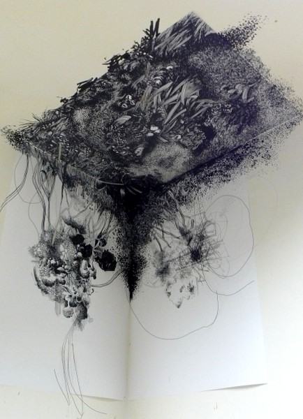 przeglądali się studenci I roku...