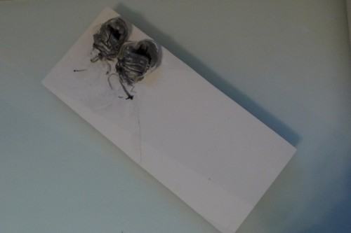 fotorelacja z wernisażu wystawy w Lublińcu