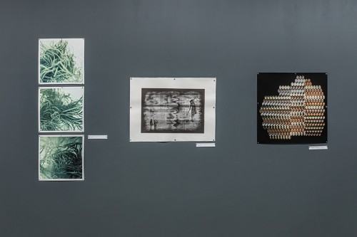 fot. Michał Pietrzak