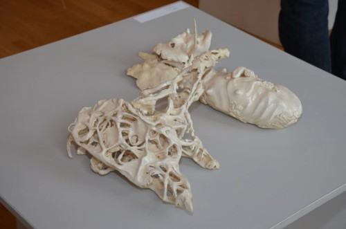 wystawa studentów Erasmus 2014 fot. Alek Figura