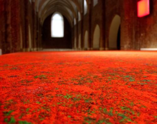 09086337.jpg fot. B. Dębska