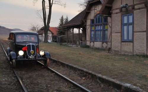 M.HRISULIDIS, AFONIA I PSZCZOŁY, 2009
