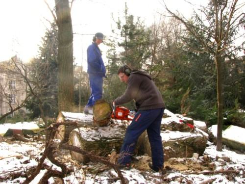 rzeźbiarze uczyli się jak piłować... rzeźbiarze uczyli się jak piłować...