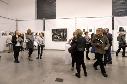 11295833.jpg fot. Michał Pietrzak