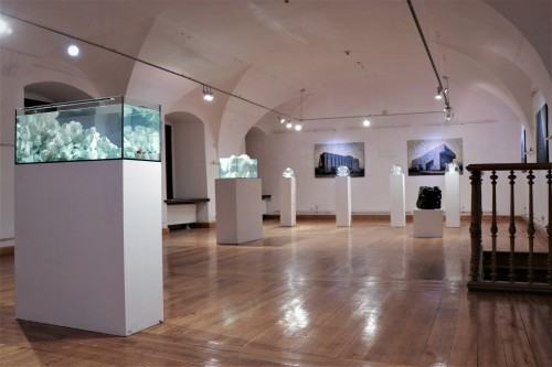 Habitaty - Weronika Lucińska (ceramika) & Joanna Pałys (malarstwo)