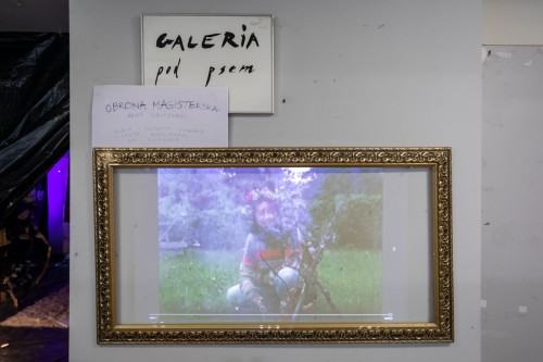 12357927.jpg fot. Michał Pietrzak