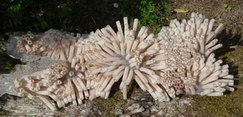 13281085.jpg Anne Notebaert