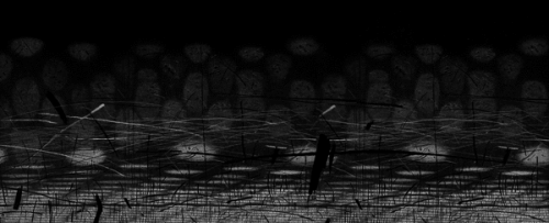 Agata Gertchen, linoryt 170 x 70 cm, 2011