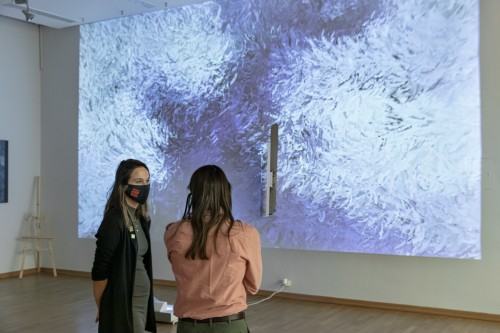 13648850.jpg fot. Michał Pietrzak