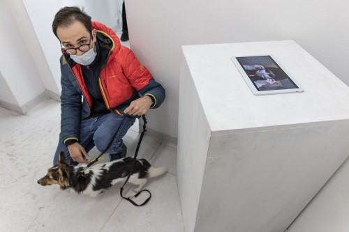 fot. Michał Pietrzak