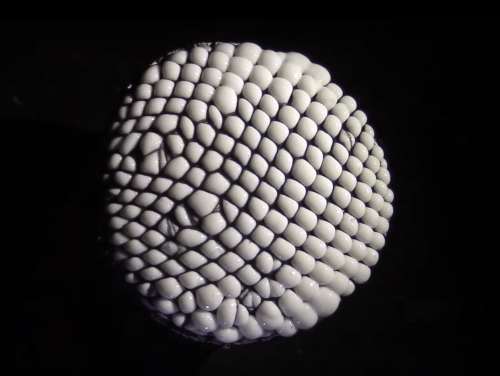 13953459.png Bobbie Gray / Resident Alien, 2017, still from video (dzięki ON Public Gallery )