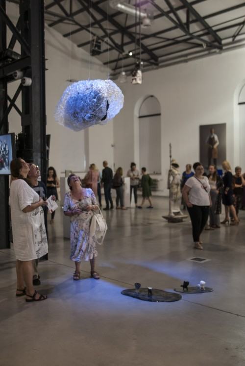 14246039.jpg foto: M. Wodarczyk