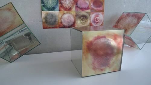 Grafika Artystyczna ASP Wrocław