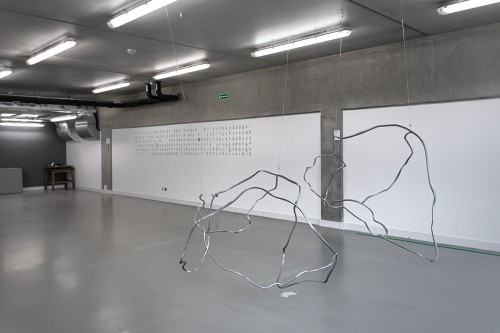 fot. Michał Pietrzak