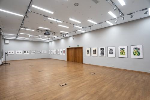 fot. Michał Pietrzak