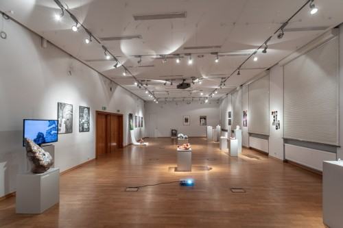 fot. Michał Pietrzak