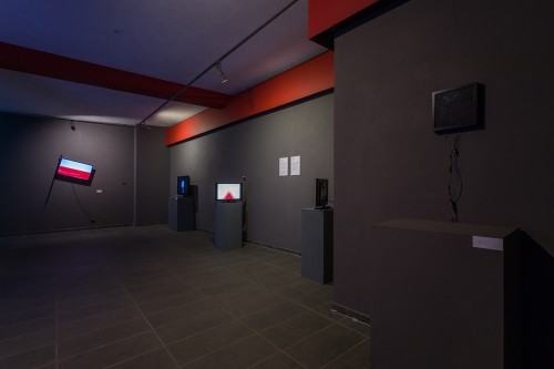 15485332.jpg fot. Michał Pietrzak