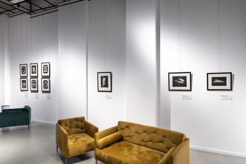 fot. Michał Pietrzak