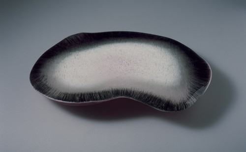 16321652.jpg Dagmara Bielecka