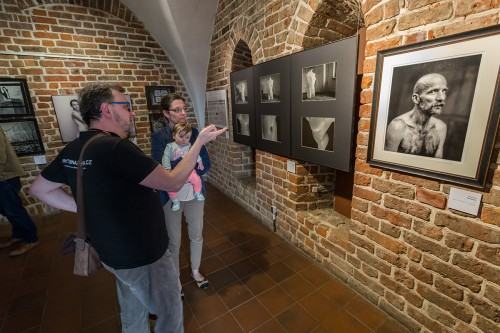 16603309.jpg fot. Michał Pietrzak