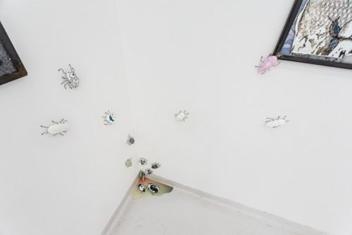 16988064.jpg fot. Michał Pietrzak