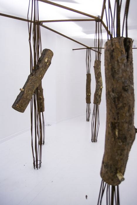 Katedra scenografii na quadriennale