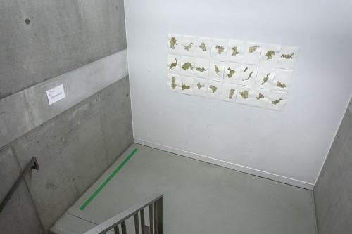 fot. Michał Pietrzak