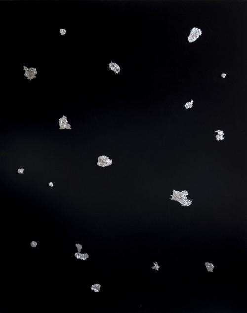 Paulina Rega Cluster 2