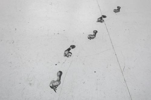 fot. Michał Pietrzak