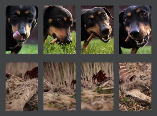 PRACOWNIA FOTOGRAFII PRACOWNIA FOTOGRAFII