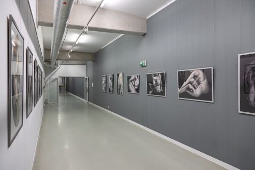 fot. Michał Pietrzak