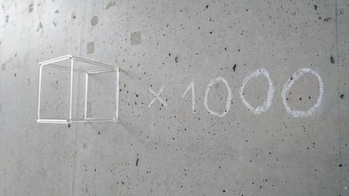 21957464.jpg