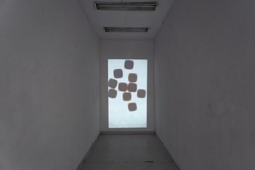 fot. Michał Pietrzak