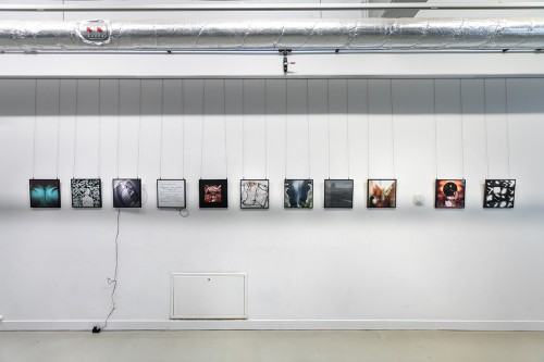 fot. Michał Pietrzak