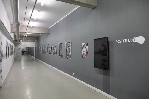 fot. Michał Pietrzak