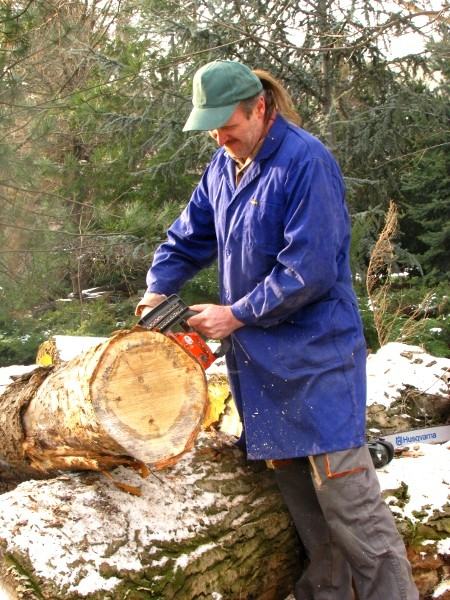 rzeźbiarze uczyli się jak piłować... rzeźbiarze uczyli się jak piłować...