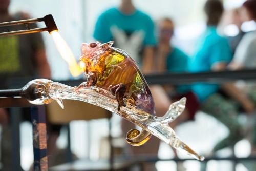 25351957.jpg fot. M. Kujda