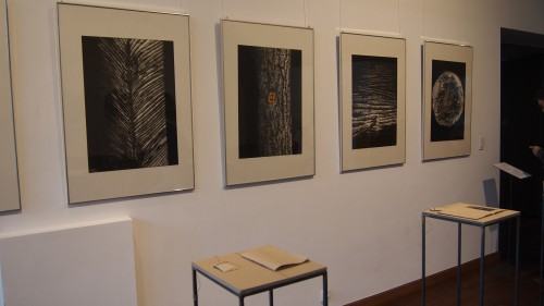 Dyplom  "W moich żyłach żywica” (Anna Świerkosz, Akademia Sztuk Pięknych w Katowicach) - wyróżnienie honorowe