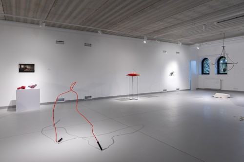 fot. Michał Pietrzak