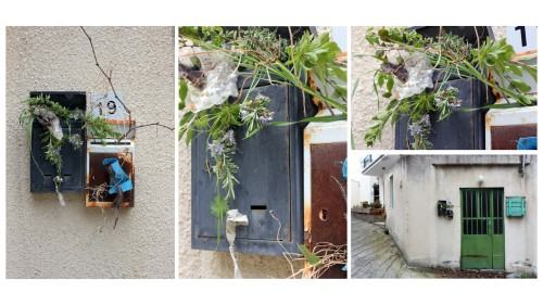 27954632.jpg Eleftheria Tzirki