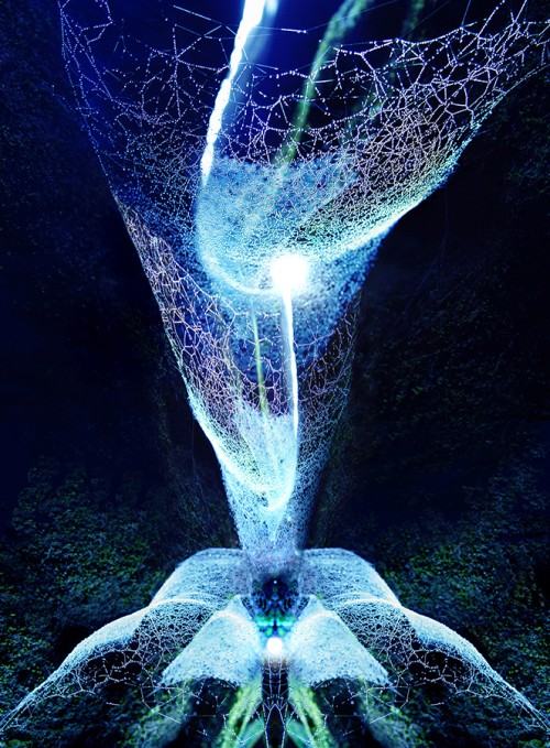 tunel czasoprzestrzenny