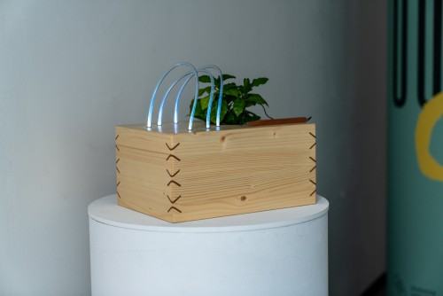 1_foto: źródło ACD, Karol Janiak