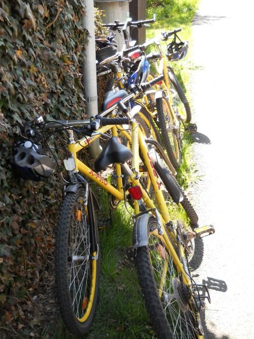 Kondycyjny plener szklarski