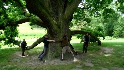 plener rzeźbiarski w Pleszewie