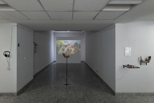 fot. Michał Pietrzak