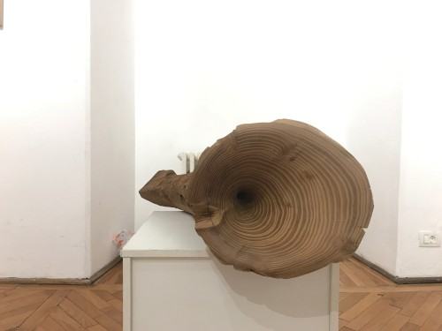 30934914.jpg