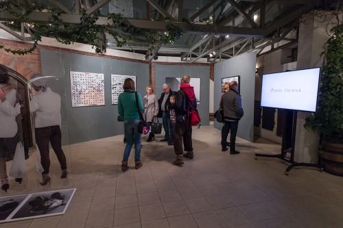 31126416.jpg fot. Michał Pietrzak