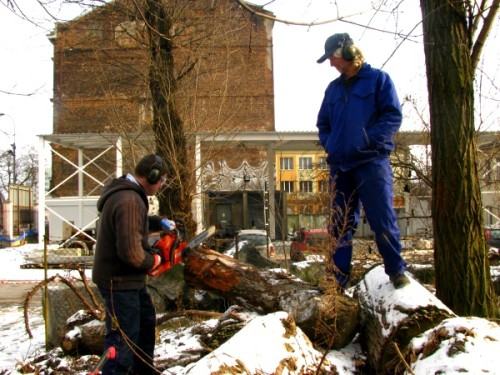 rzeźbiarze uczyli się jak piłować... rzeźbiarze uczyli się jak piłować...
