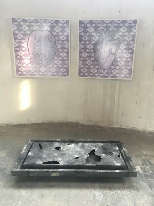 31540502.jpg