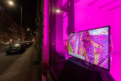 fot. Michał Pietrzak